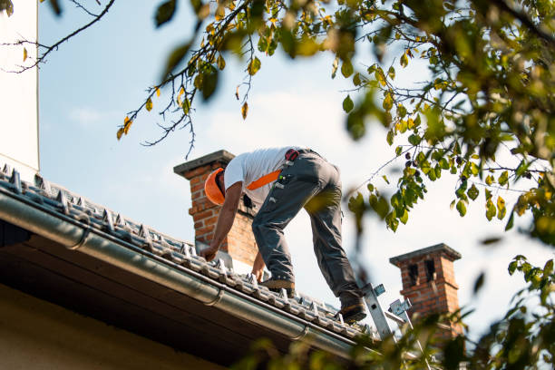Roof Gutter Cleaning in Reynoldsburg, OH