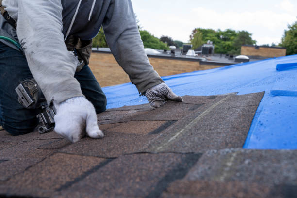 Best Storm Damage Roof Repair  in Reynoldsburg, OH